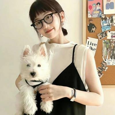 狐狸的夏天2